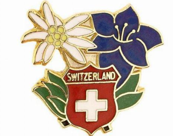 PIN BROOCH WITH GENTIAN FLOWERS, EDELWEISS & CH CREST