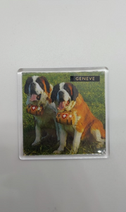 MAGNET SAINT BERNARD GENEVA